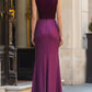 Ruched Waist Sleeveless Elegant Maxi Dress
