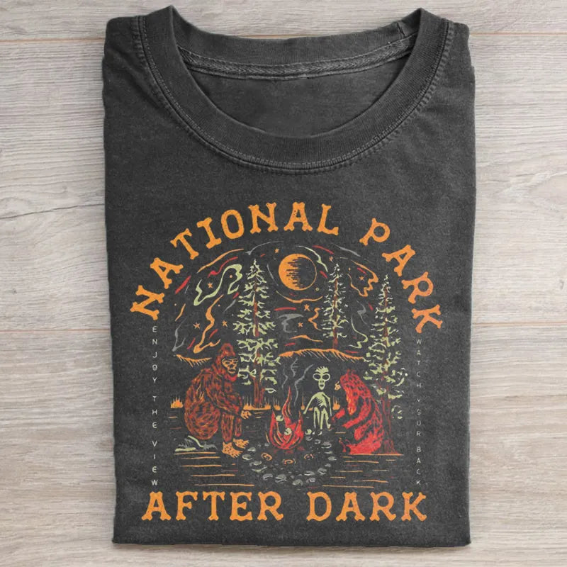 National Park After Dark T-shirt