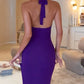 Sexy Halter Sleeveless Dress