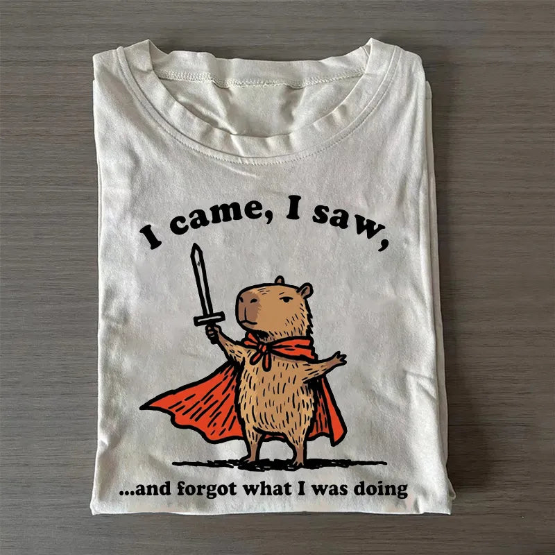 I Came, I Saw, And Forgot What I Was Doing T-shirt