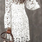 Elegant Lace Long Sleeve Casual Dress
