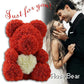 Best Mothers Day Gift Of 2022- The Rose Bear（Free Shipping Over Two Piece ）